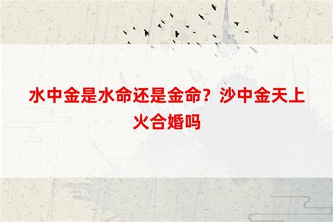 金配水|金命配水命如何？金命究竟何所指？